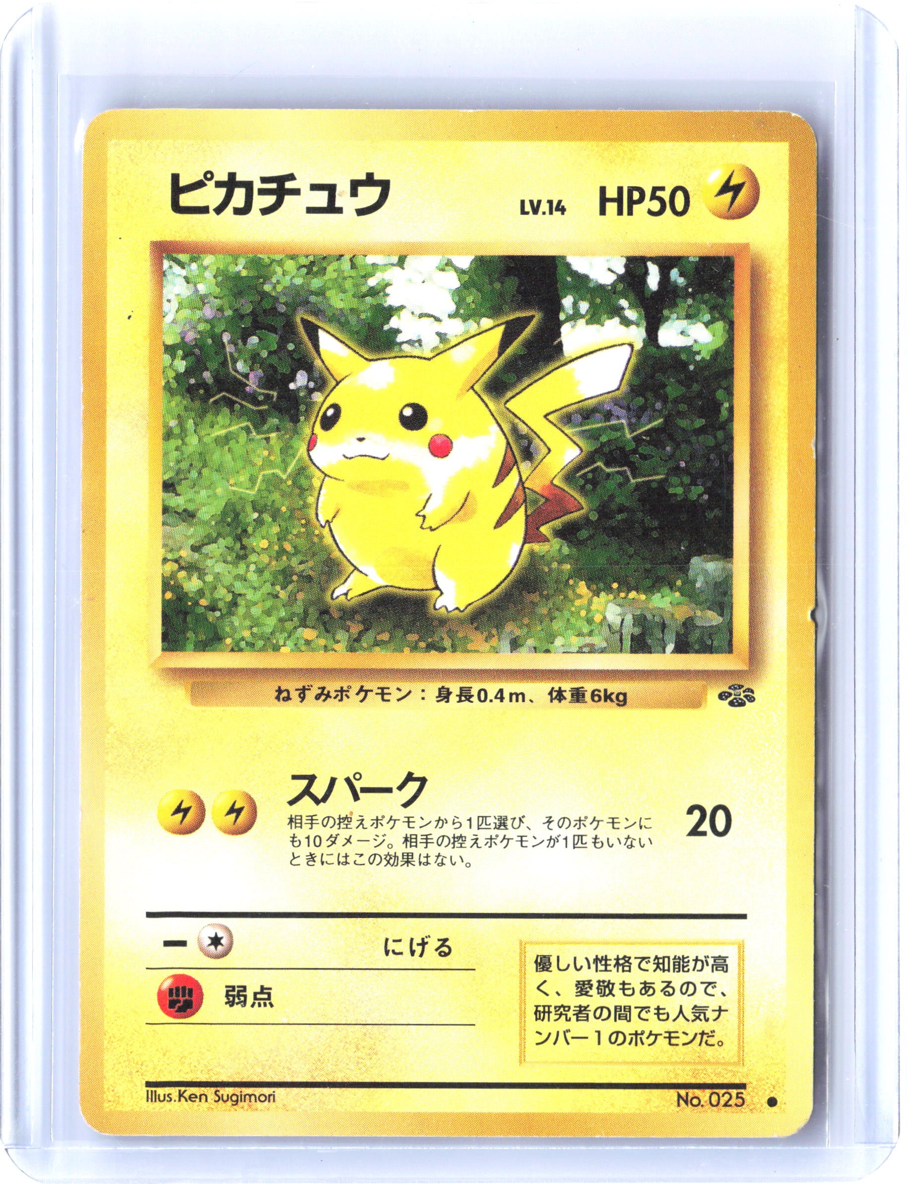 Pokemon Jungle #60 Pikachu