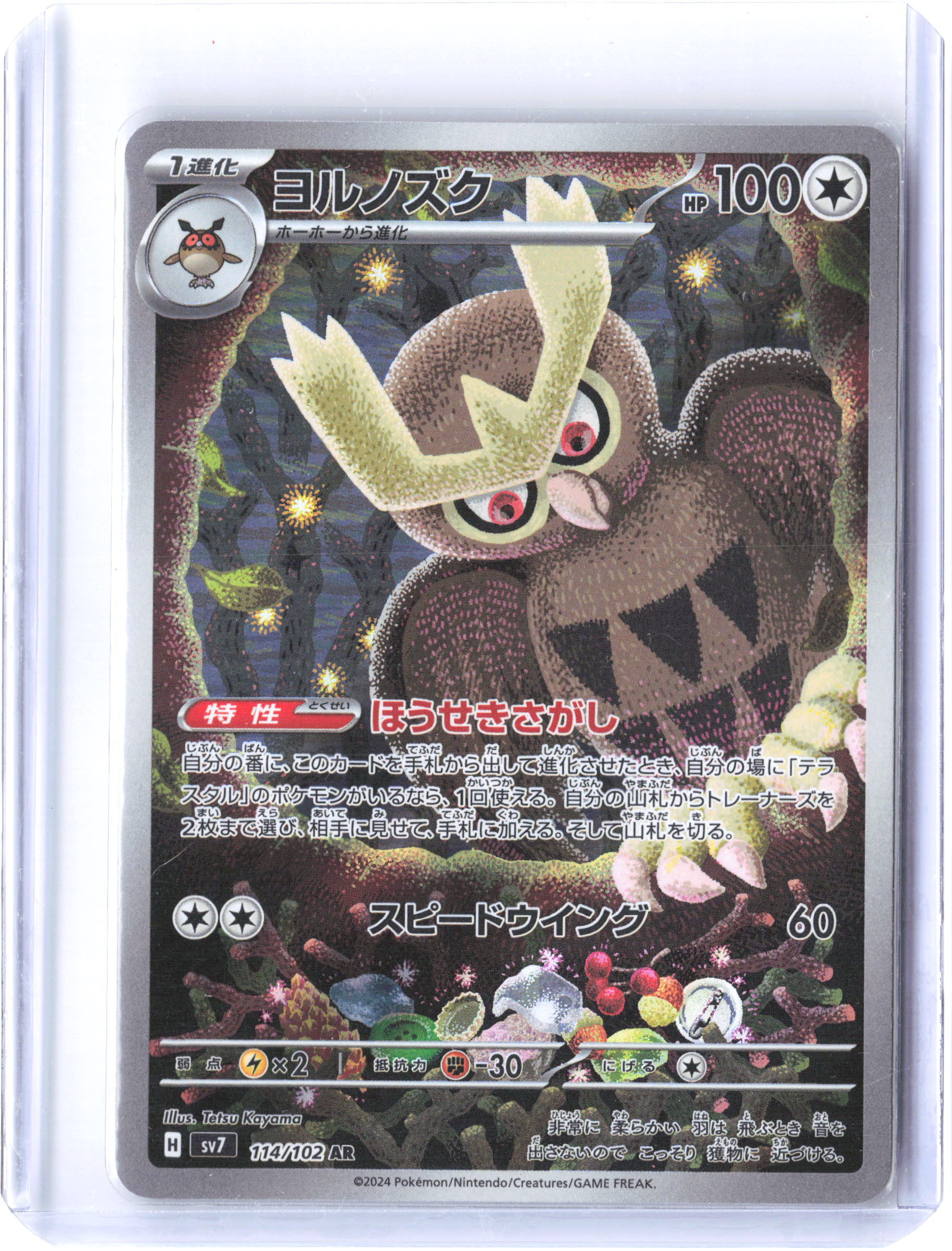 SV: Scarlet & Violet Promo Cards #141 Noctowl