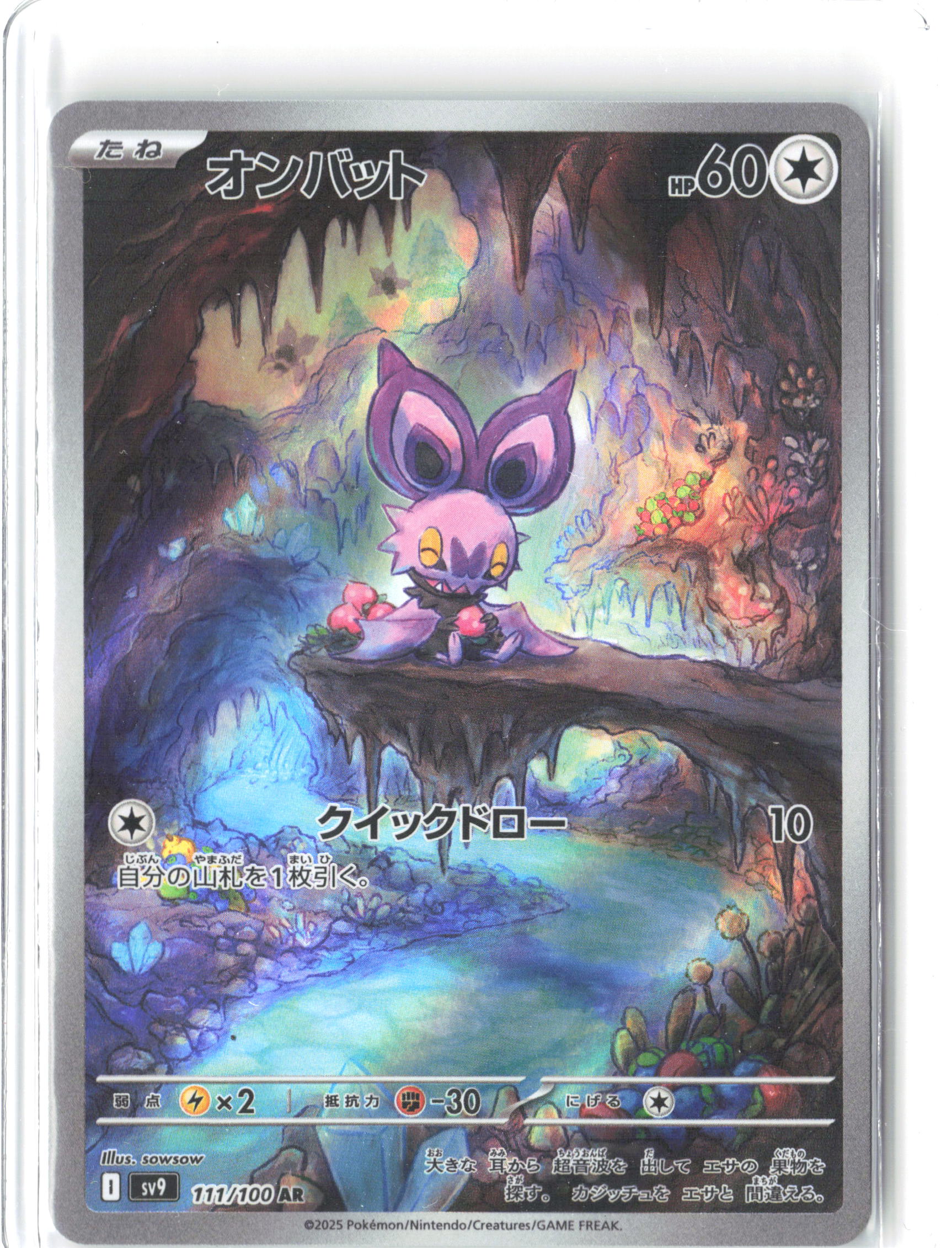 SV9: Battle Partners #111/100 Noibat