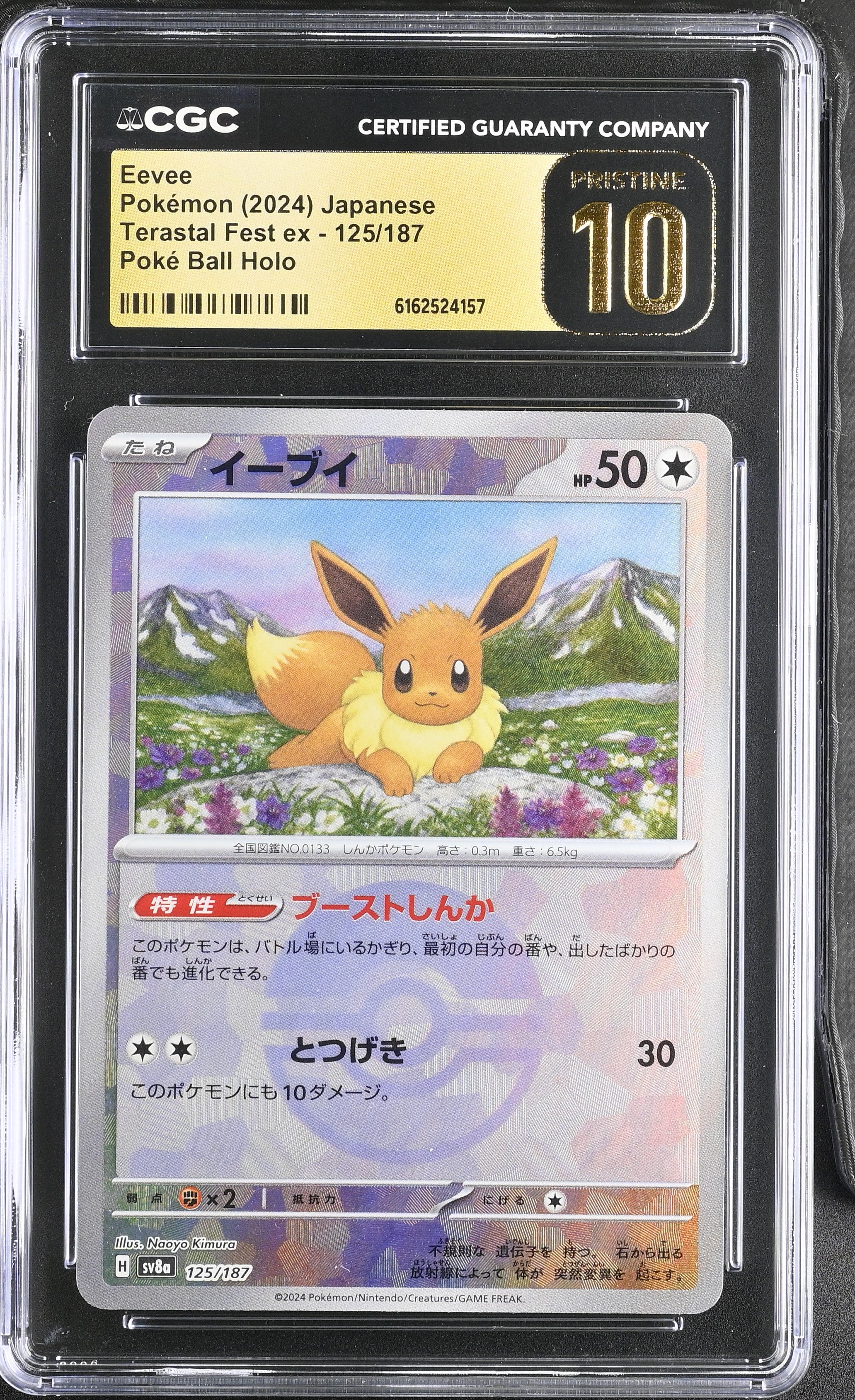 2024 Terastal Fest ex #125/187 Eevee CGC 10