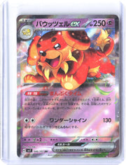 SV7: Stellar Miracle #046/102 Dachsbun ex