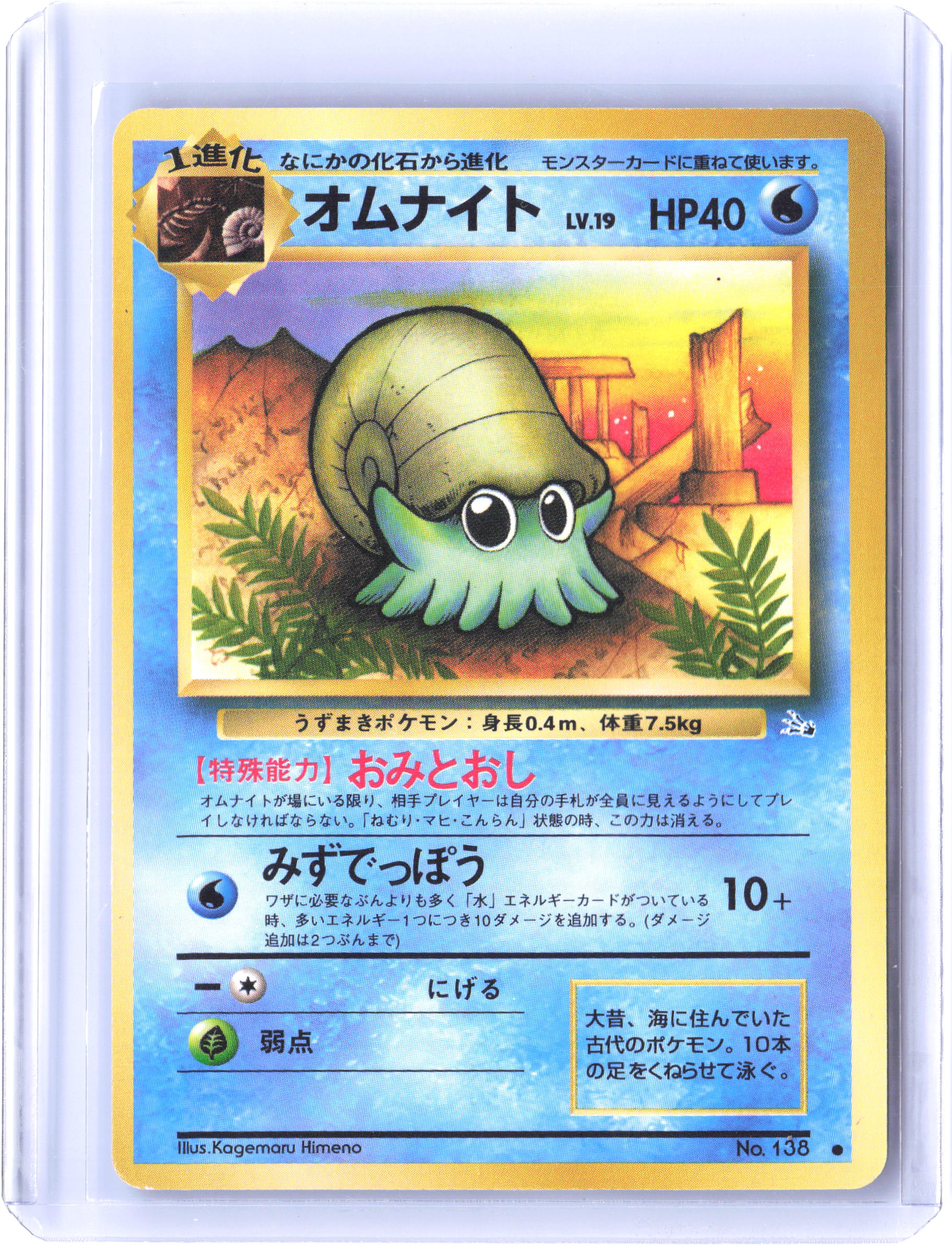 Mystery of the Fossils Omanyte
