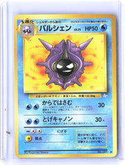 Mystery of the Fossils Cloyster