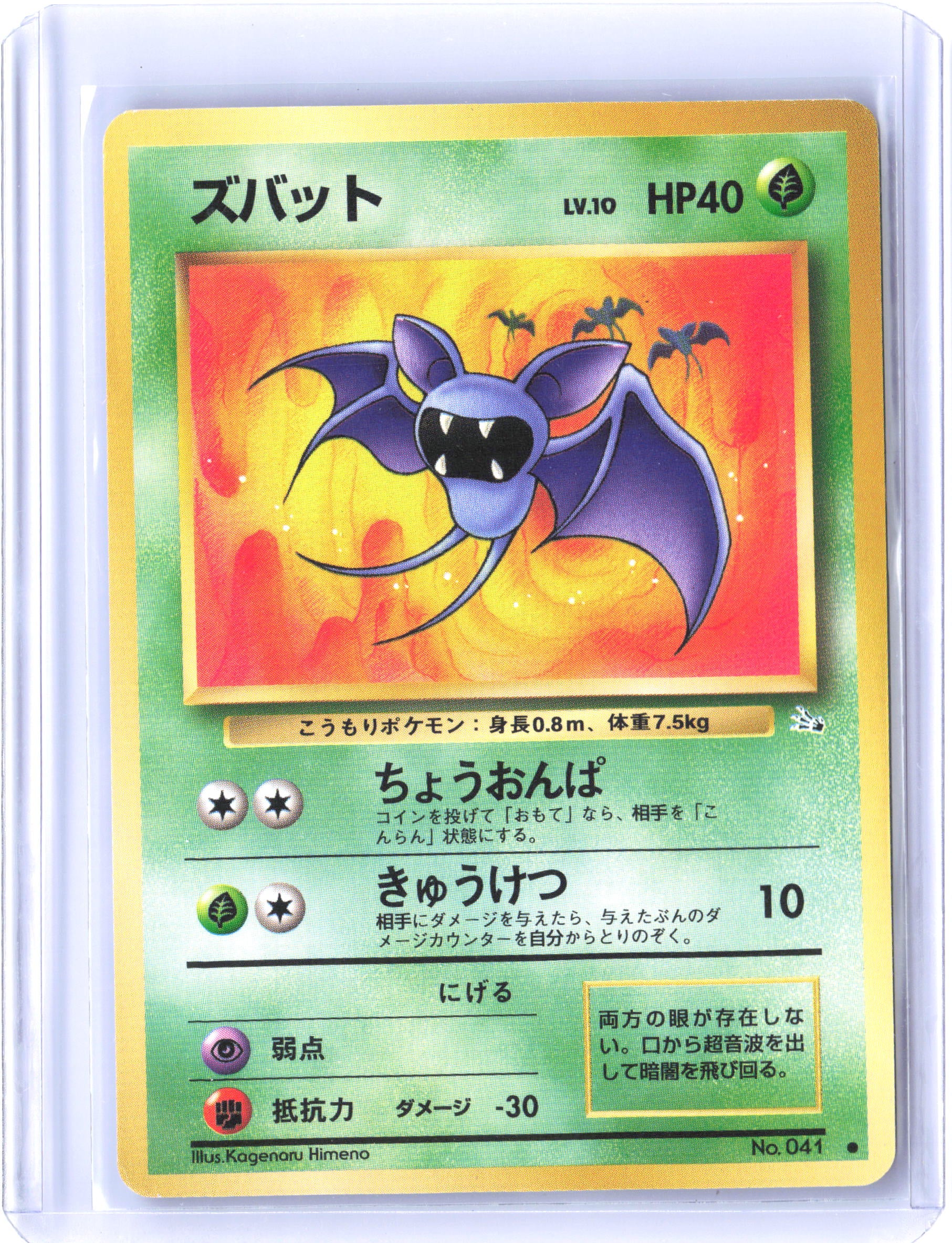 Mystery of the Fossils Zubat