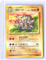 Mystery of the Fossils Graveler