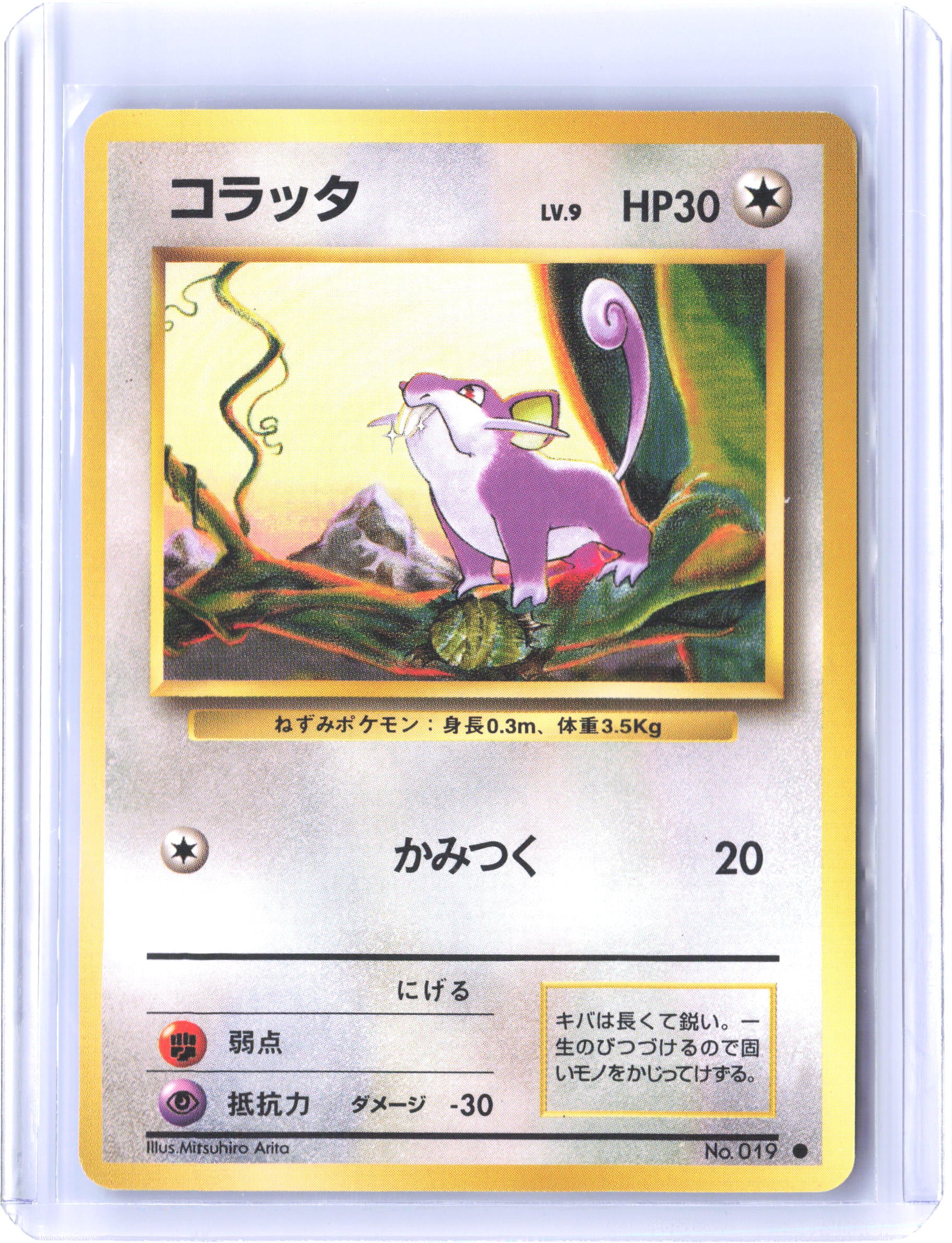 Expansion Pack Rattata