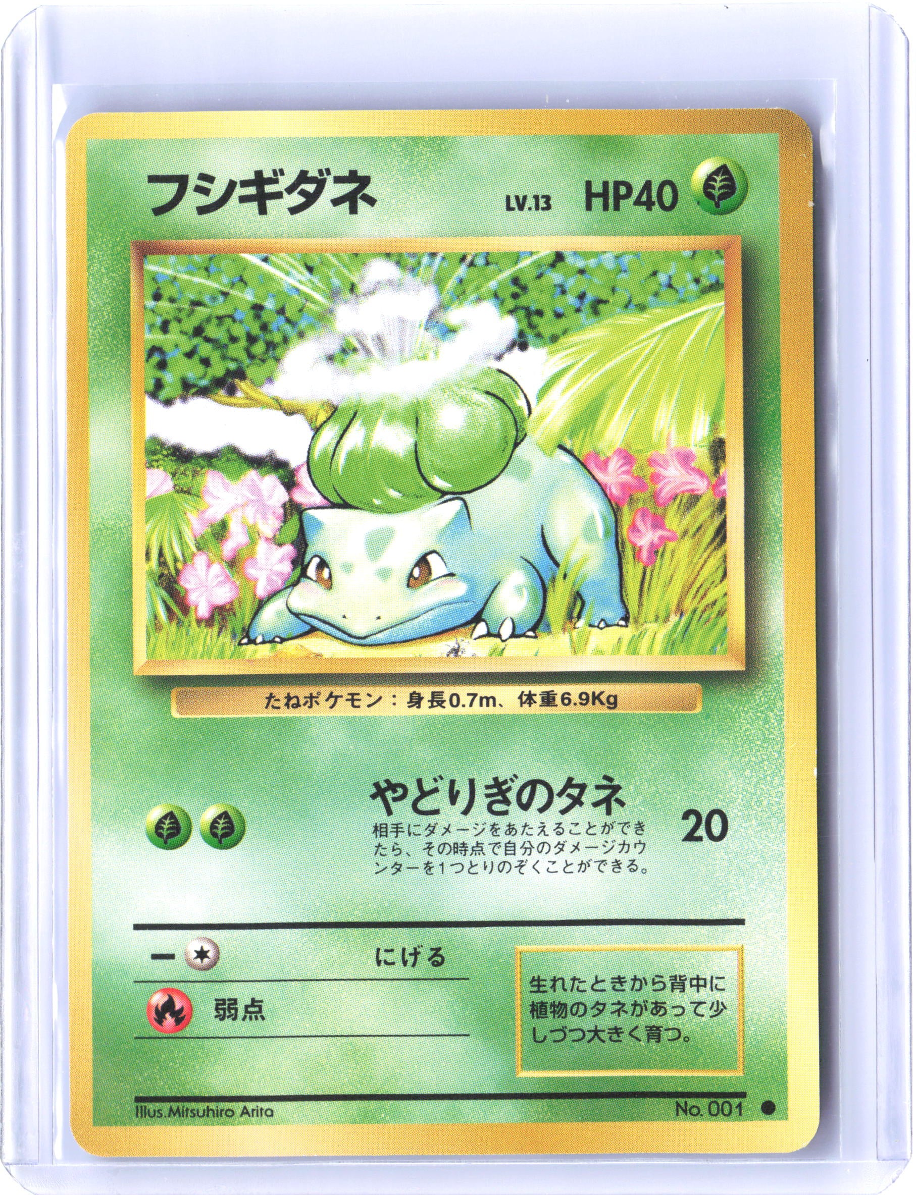 Expansion Pack (No Rarity) Bulbasaur