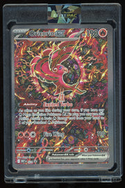 ME: Mega Evolution Promo #024 Oricorio ex