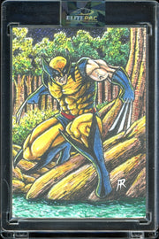 2024 Marvel Comic 1/1 Sketch Wolverine by artky