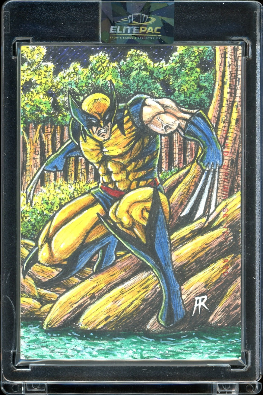 2024 Marvel Comic 1/1 Sketch Wolverine by artky